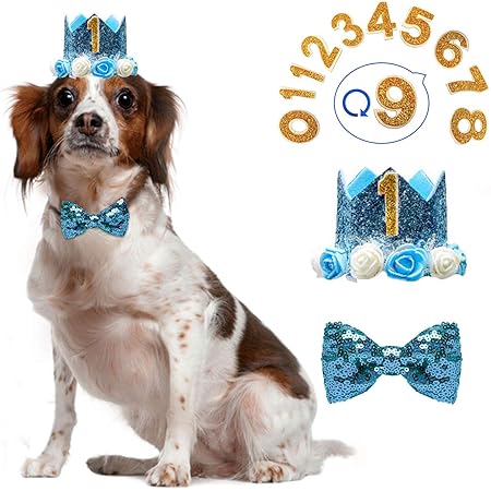 Birthday crown for dog Clearance