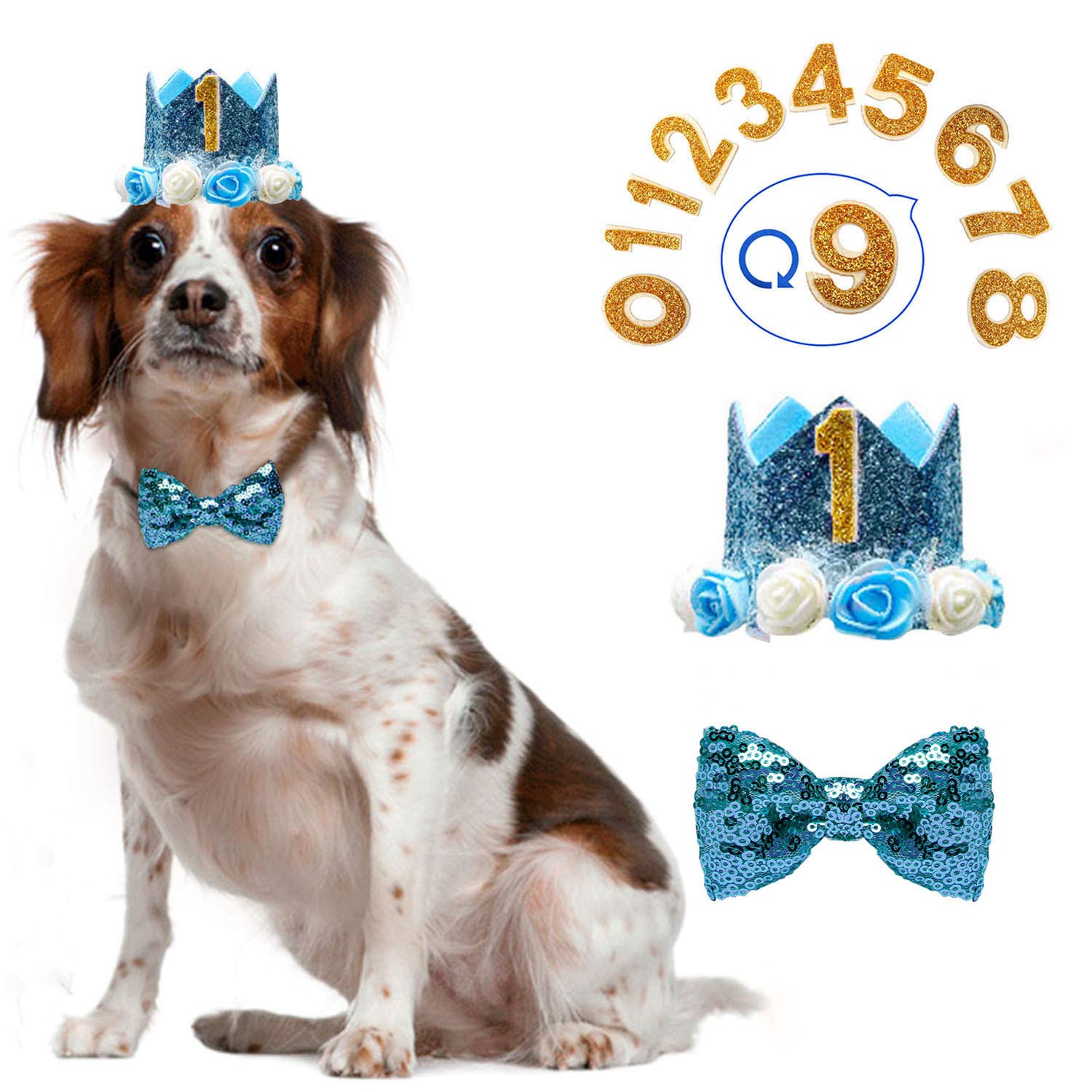 boy dog bows