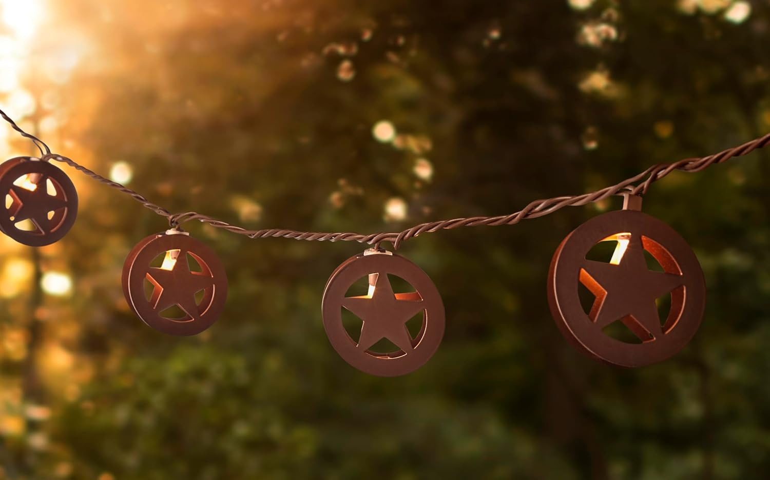 Litex Industries: 8.8-ft Plug-in Bronze Outdoor Star String Light with 10 White-Light Incandescent Mini Bulbs