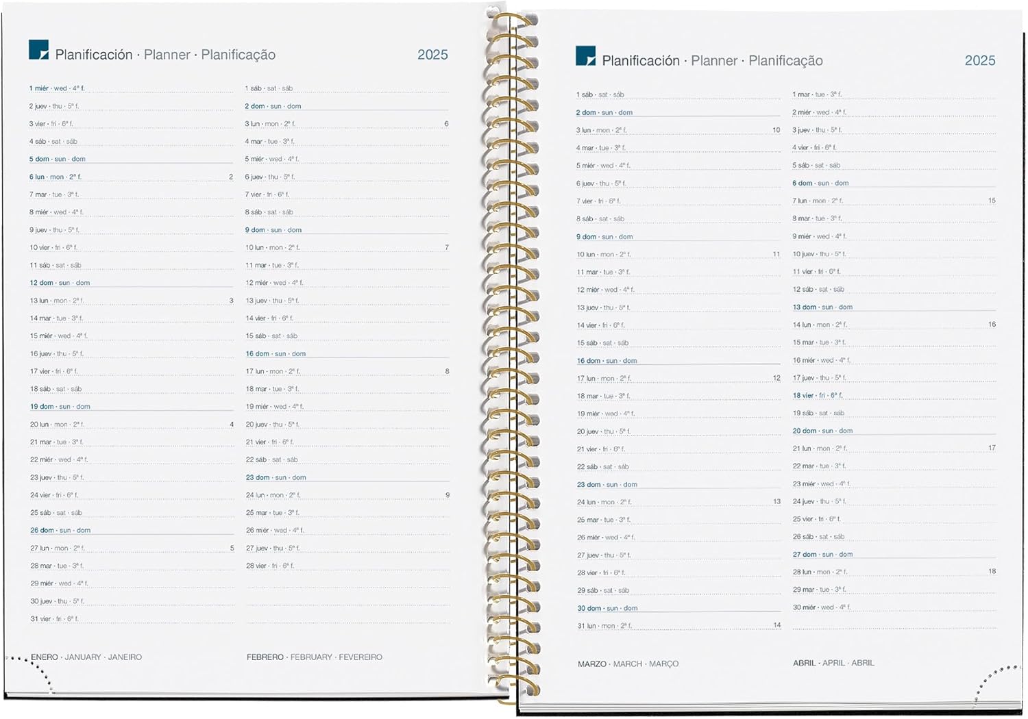 Miquelrius - 2025 Calendar Year Planner 155 x 213 mm Week to View Laminated Card Cover Spiral Bound Elastic Closure 80gsm Paper Spanish, English and Portuguese