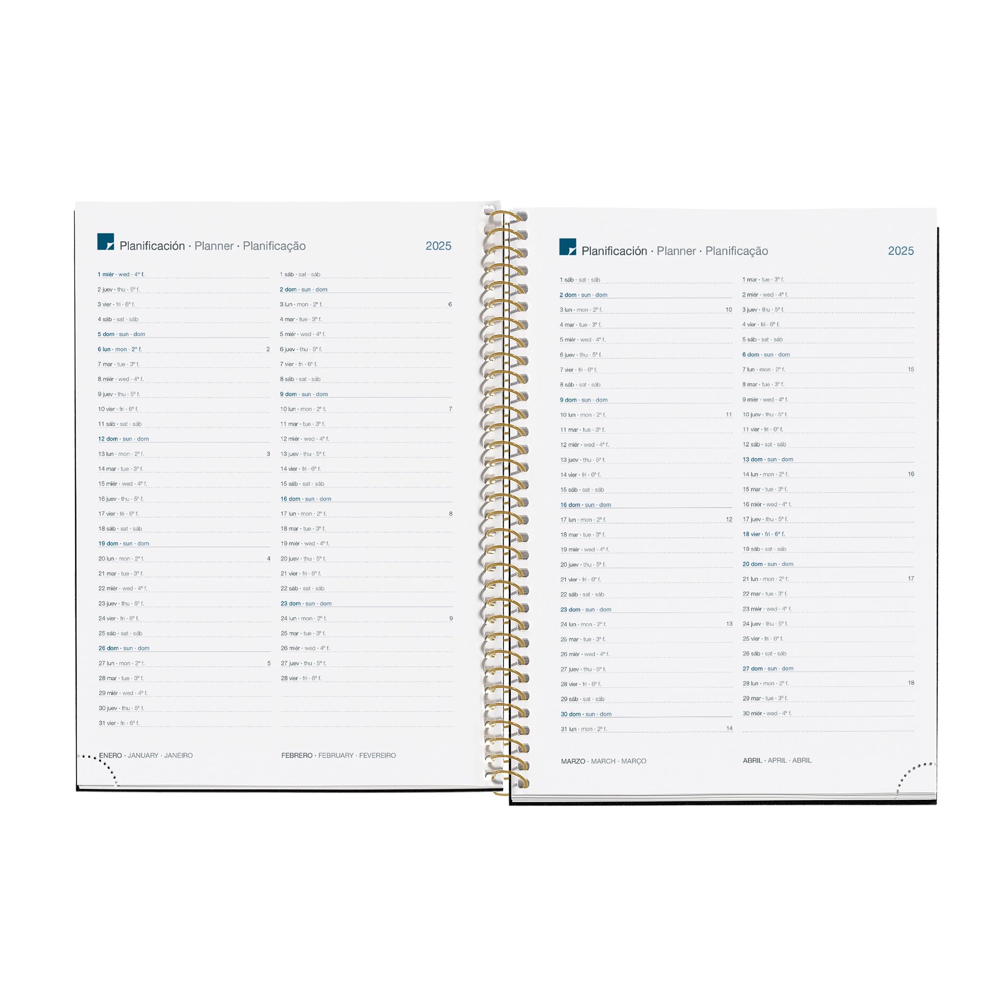 Miquelrius, 2025 Diary, 155 x 213 mm, Day Page Agenda, Laminated Cardboard Cover, Spiral, Elastic Closure, Paper 80 g/m² - Image 3