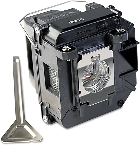 Epson Reemplazo Projeor Lámpara, Blanco/Gris (EPSV13H010L60)
