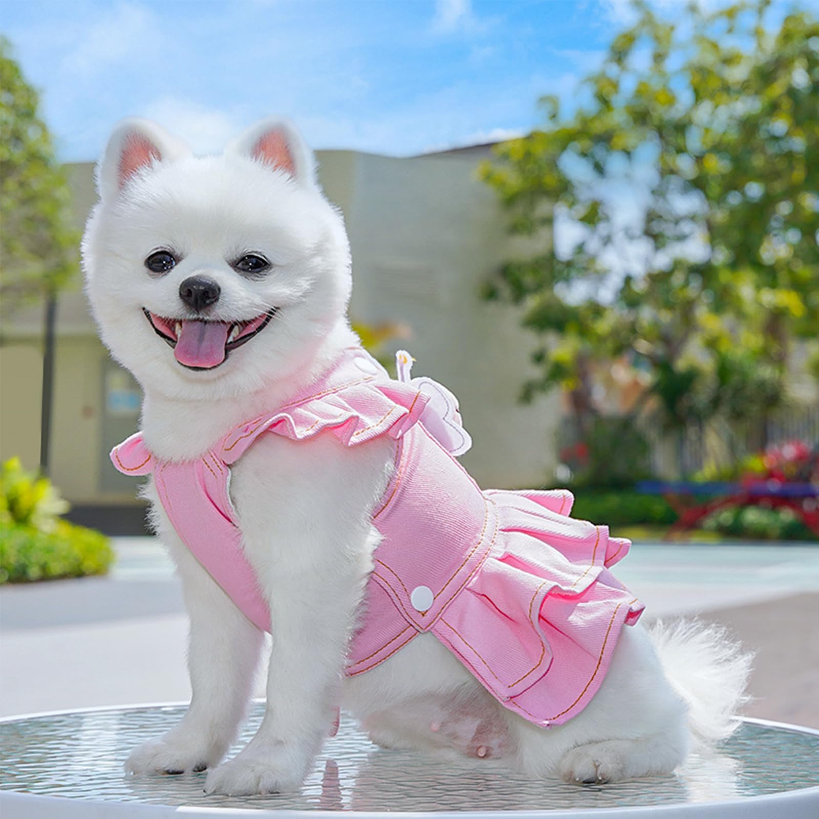 Pet No Pull Harness Set,Cat Dog Denim Dress with D-Ring Leash Bee Pin,Mesh Padded Puppy Harness Princess Dress for Training Walking_2XL(Pink) - Image 3