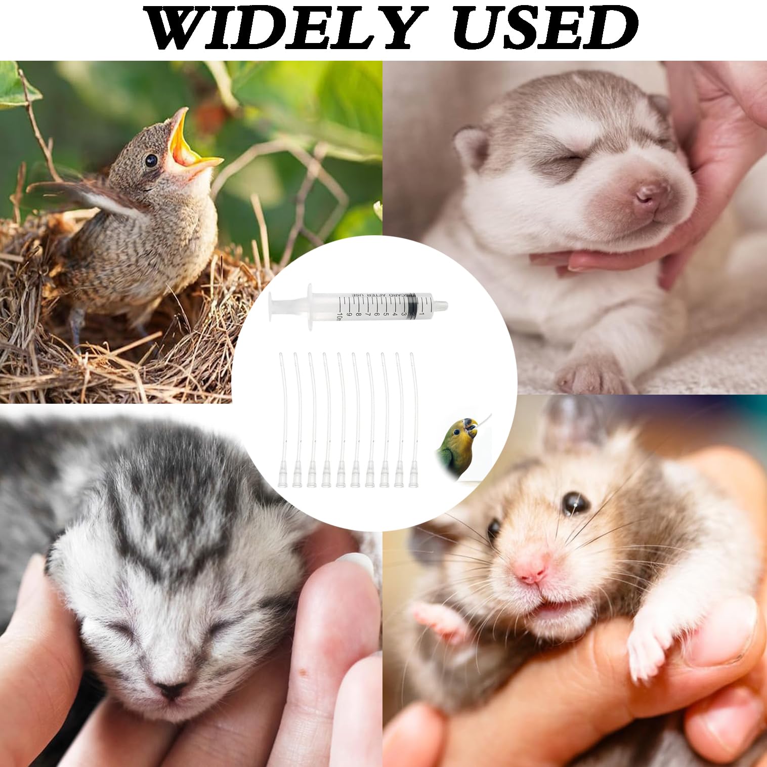 Tubes D'Alimentation Pour Oisillons,10 ML Seringue D'Alimentation pour Oiseau Avec 10 Tubes,Seringue Insuline,Seringue Alimentaire,pour Oiseaux Perroquets Et Petits Animaux Pour Lait Eau Médicaments