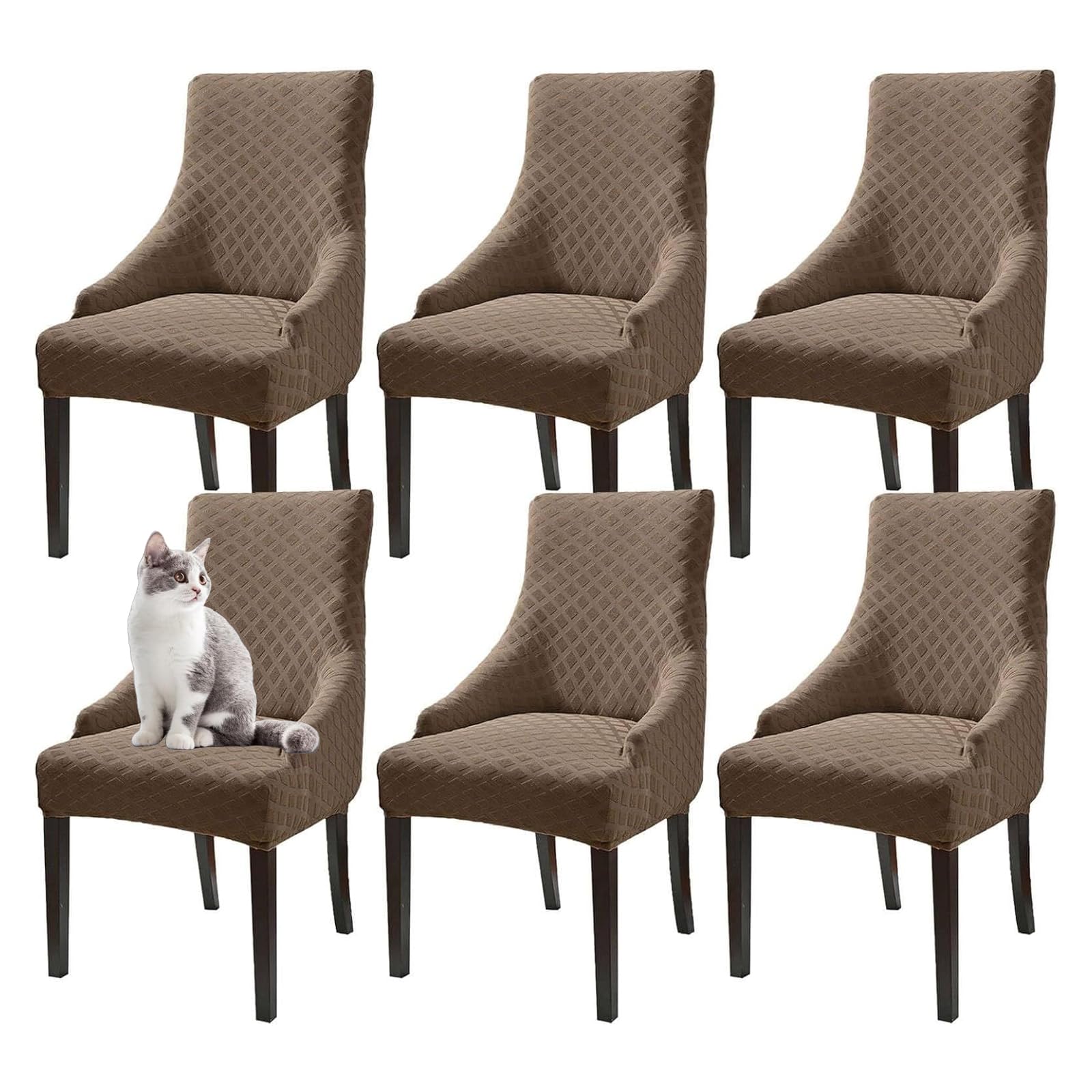 Housses de fauteuil extensibles pour protéger le salon des animaux