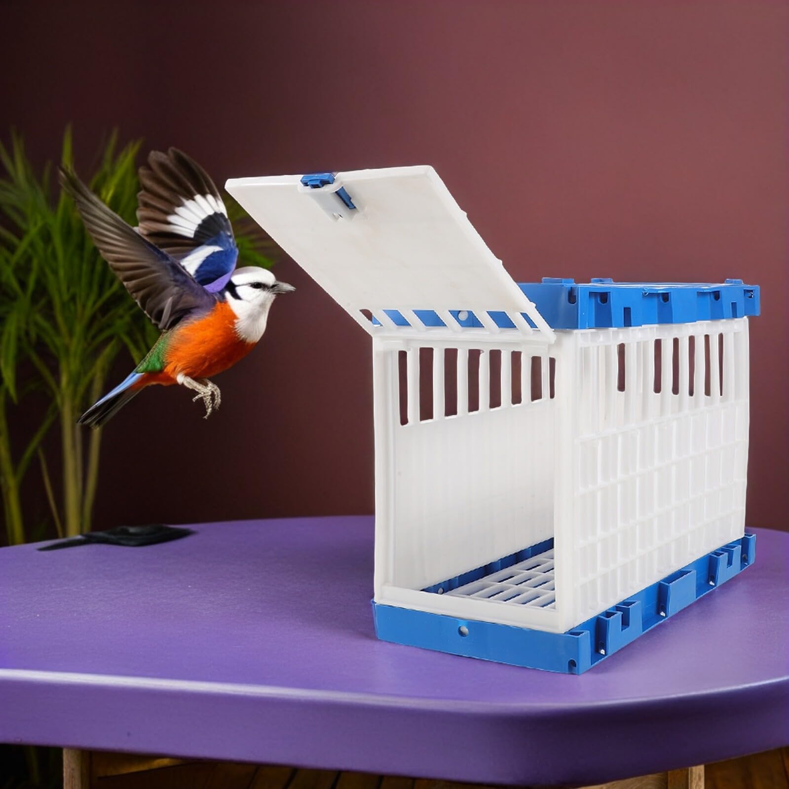 Abaodam Jaula Portátil para Palomas de Carreras Puerta Lateral Abatible Cesta de Plástico Ligera 32X165X245 CM para Entrenamiento Transporte y Liberación Segura Exteriores