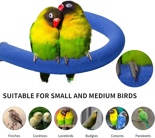 TeTupGa U Shape Parrot Perch Stand Pet Toy Bird Platform Sand Paw Grinding Clean Stick Cage Exercise Conure Budgie Cockatiel Accessories (Blue Large) - 4
