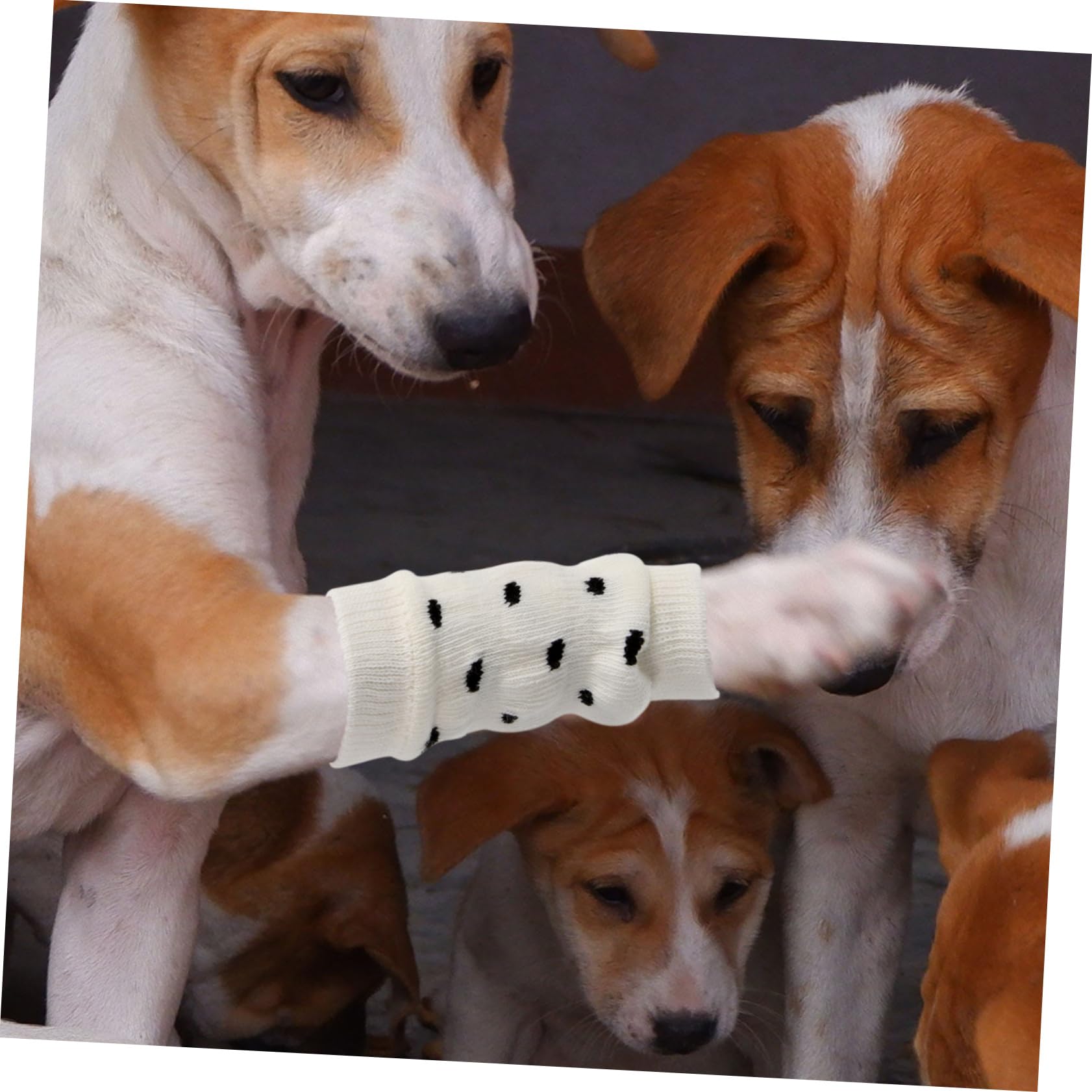 BESPORTBLE Protective Dog Leg Sleeves Large Breed Dog Leg Warmers Soft Gentle Cotton Leggings for Dogs