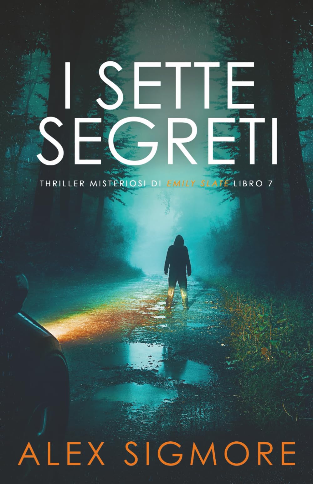 I Sette Segreti (Thriller Misteriosi di Emily Slate)