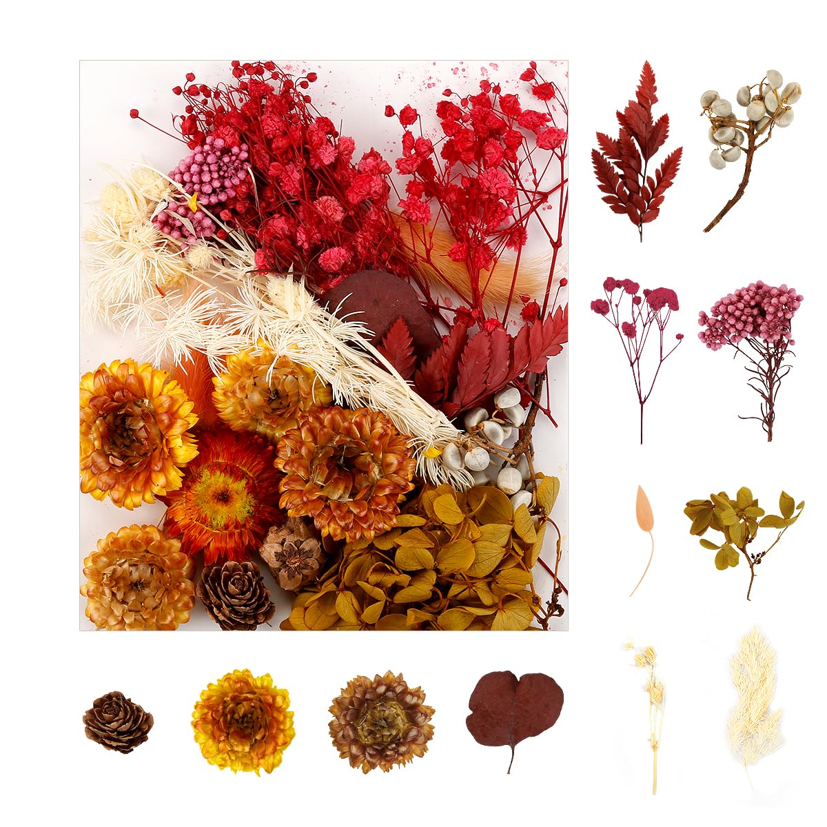 Decorative Artificial Dried Flowers - Natural Everlasting Floral Bundle(Style B)