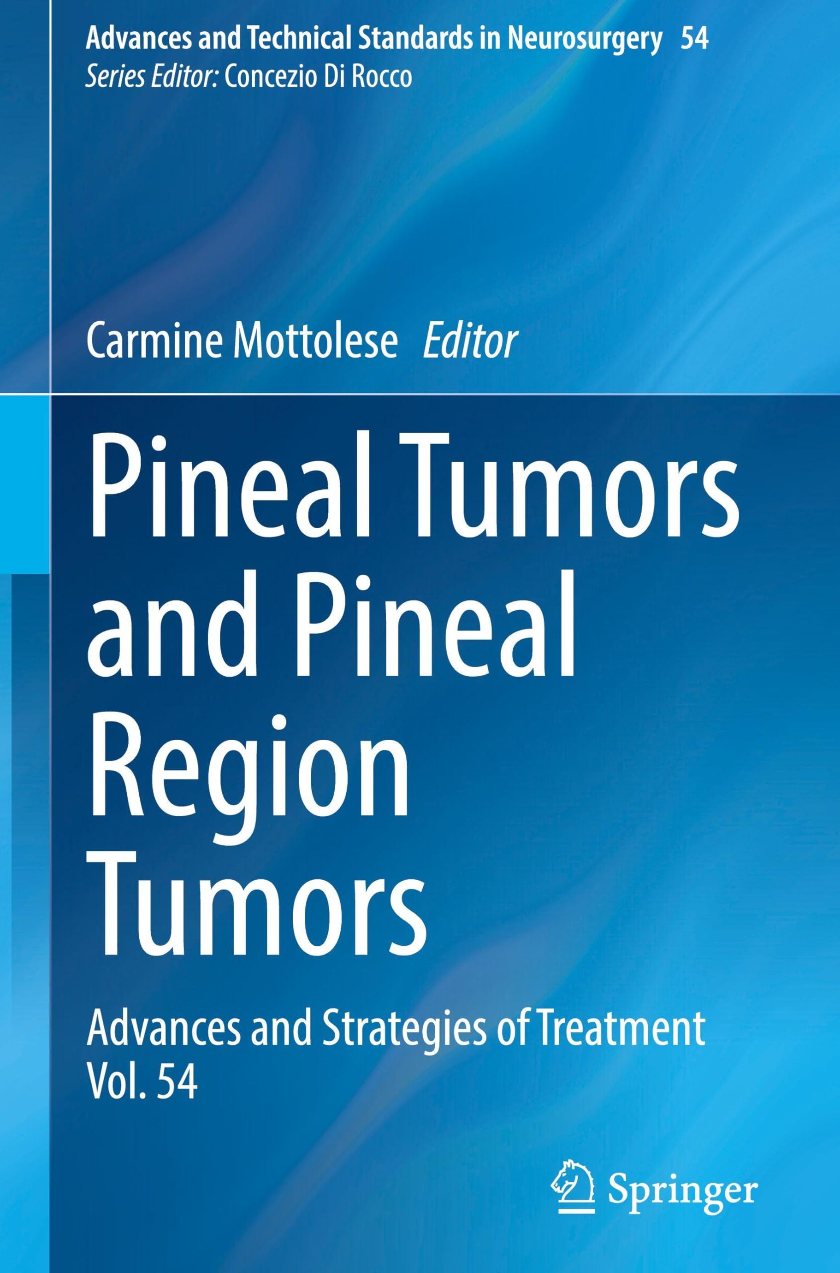 Pineal Tumors and Pineal Region Tumors: Advances and Strategies of Treatment Vol. 54 (Advances and Technical Standards in Neurosurgery, 54)