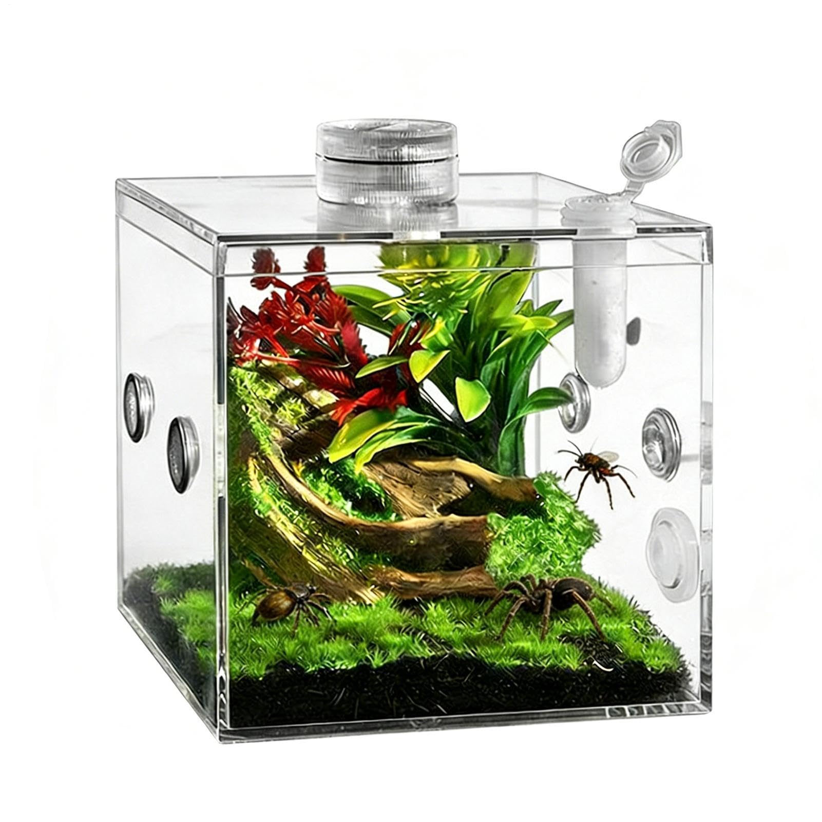 Recinto para Arañas Saltadoras, Juego De Cría De Reptiles Acrílico Transparente con Recinto, Paisaje, Dispositivo De Ventilación, Plato, Dispositivo De Iluminación para Tarántulas Arbóreas — view 6