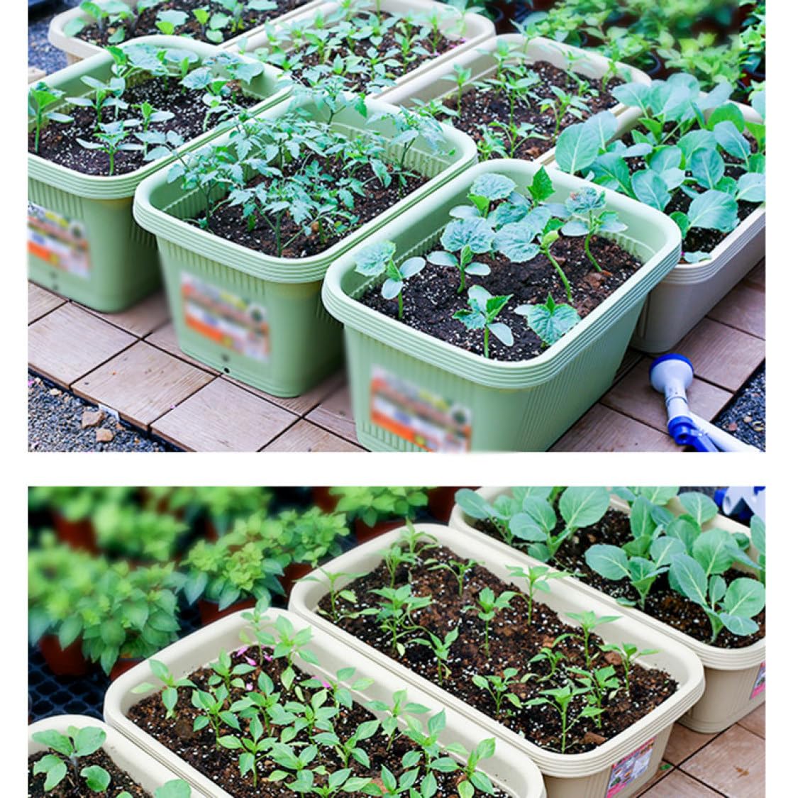 2025年9月 プランターの人気商品ランキング - 価格.com [ムリョ] 長角