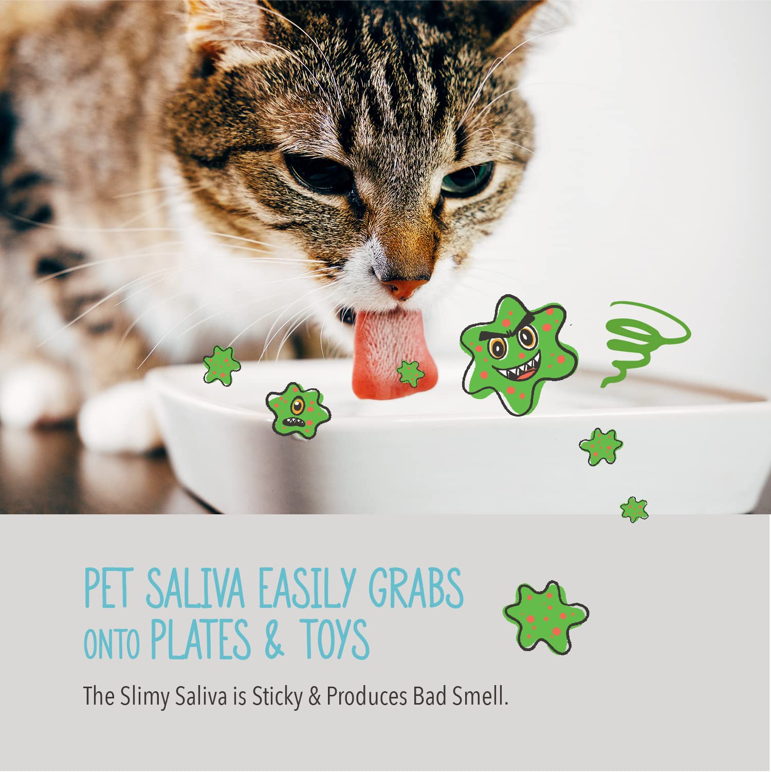 Why Are Dog Bowls Slimy