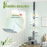 Ver la foto 5