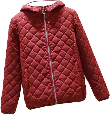 Women Hooded Padded Coat Winter Clothes 