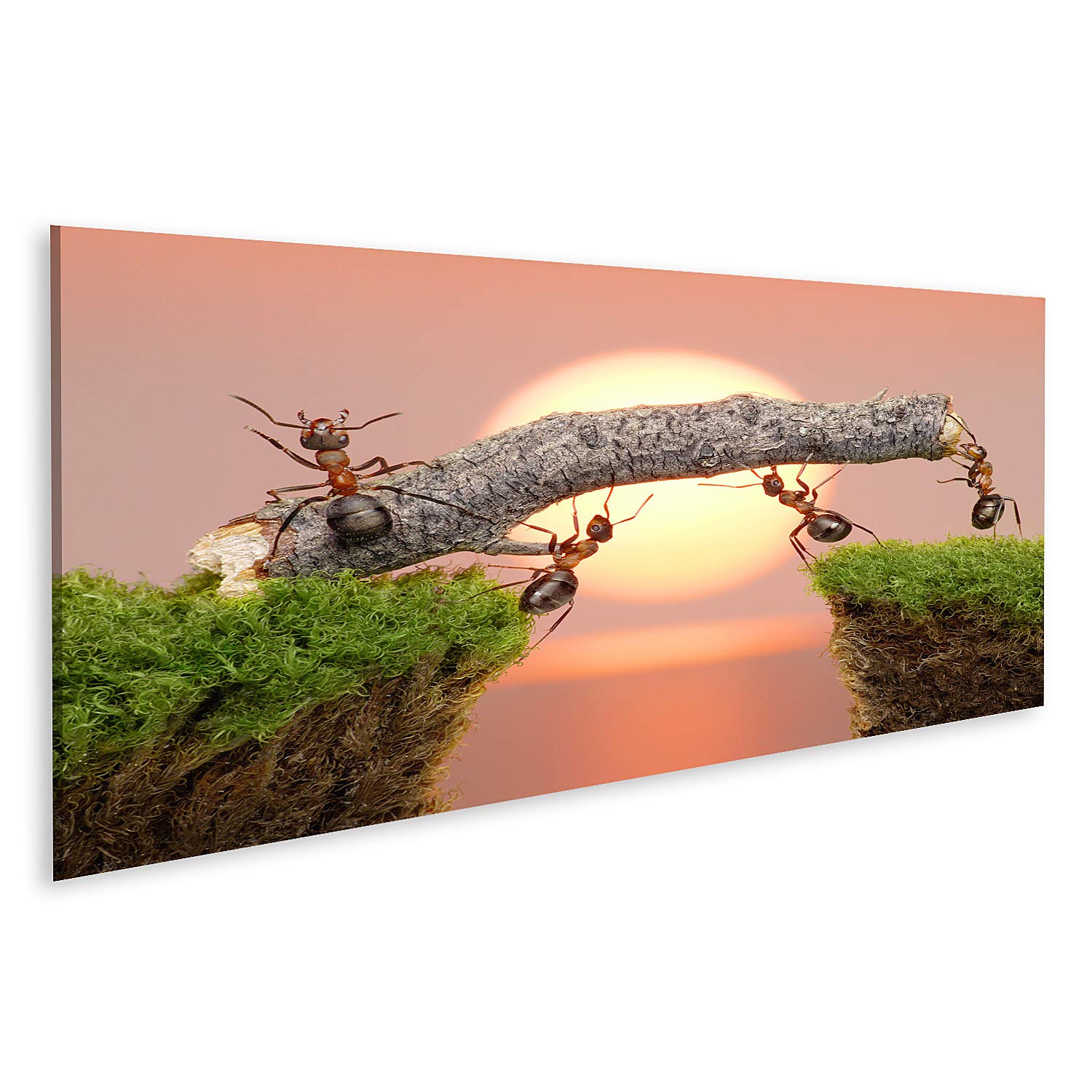 islandburner Prime Quadro su tela, motivo: formiche, lavorare, ponti, costruzione, lavoro di squadra, poster su tela GDPL