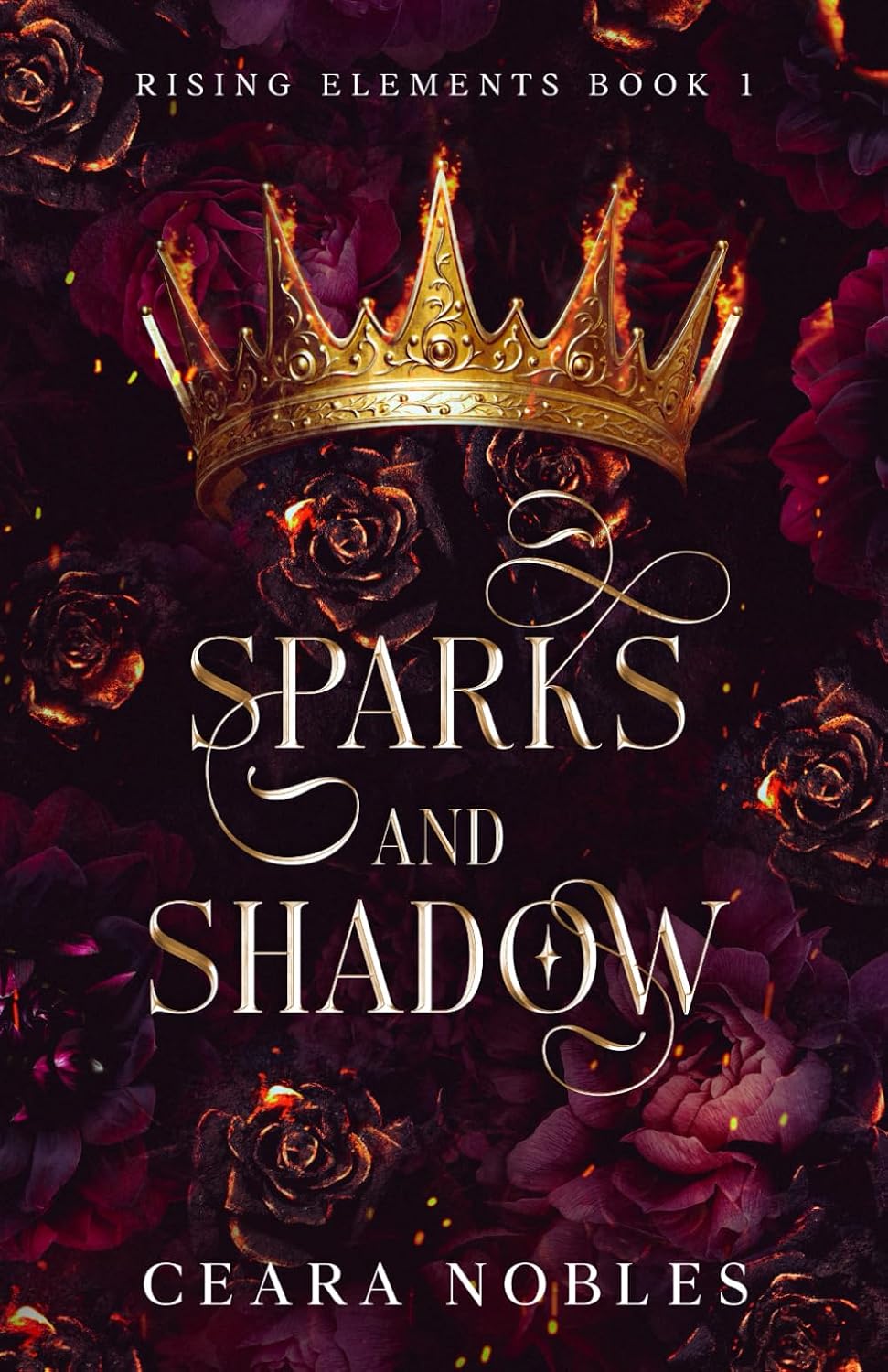 Sparks and Shadow (Rising Elements)