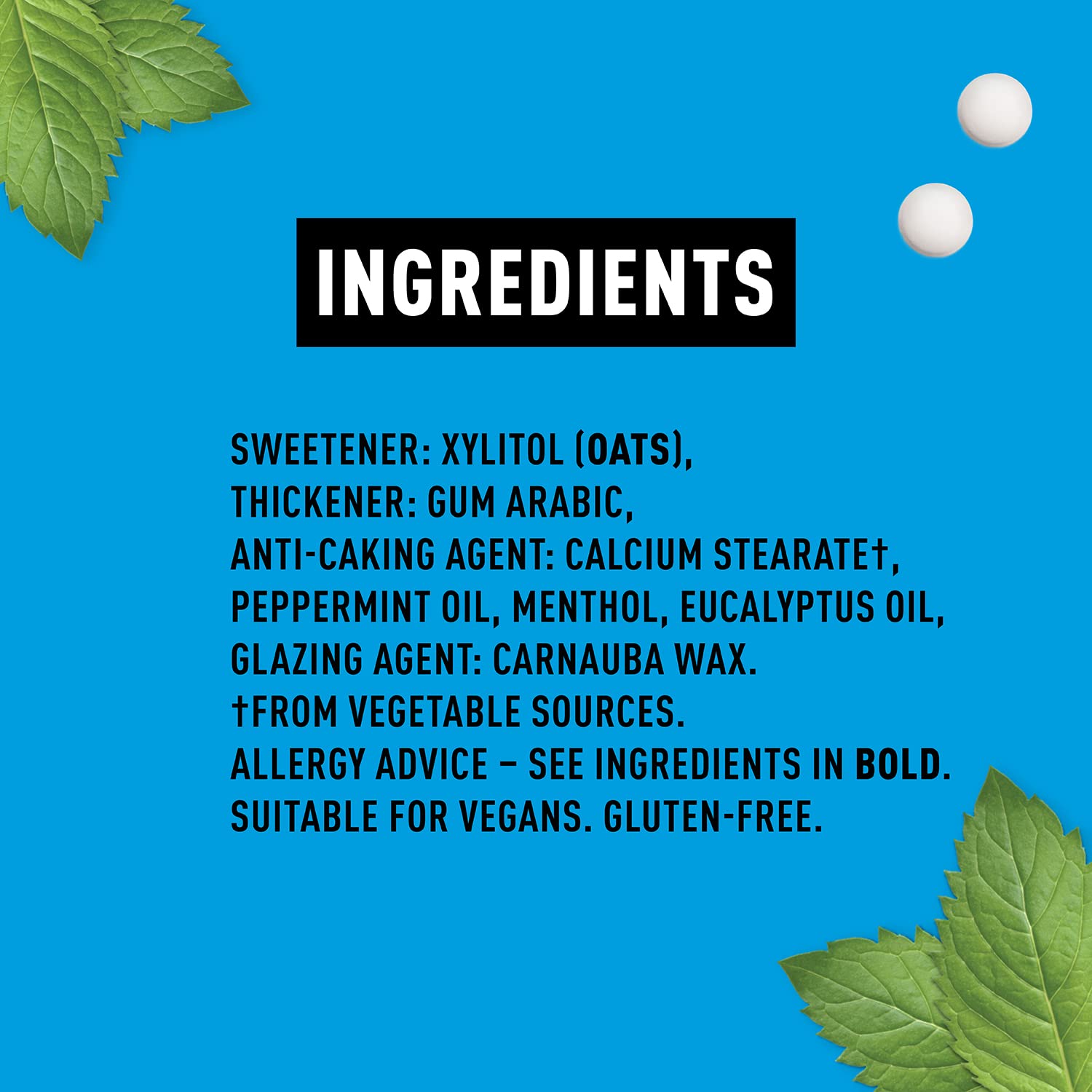 Peppersmith 100% Xylitol Mints, Eucalyptus and Fine English Peppermint, 15 g (Box of 12, Total 300 Mints)