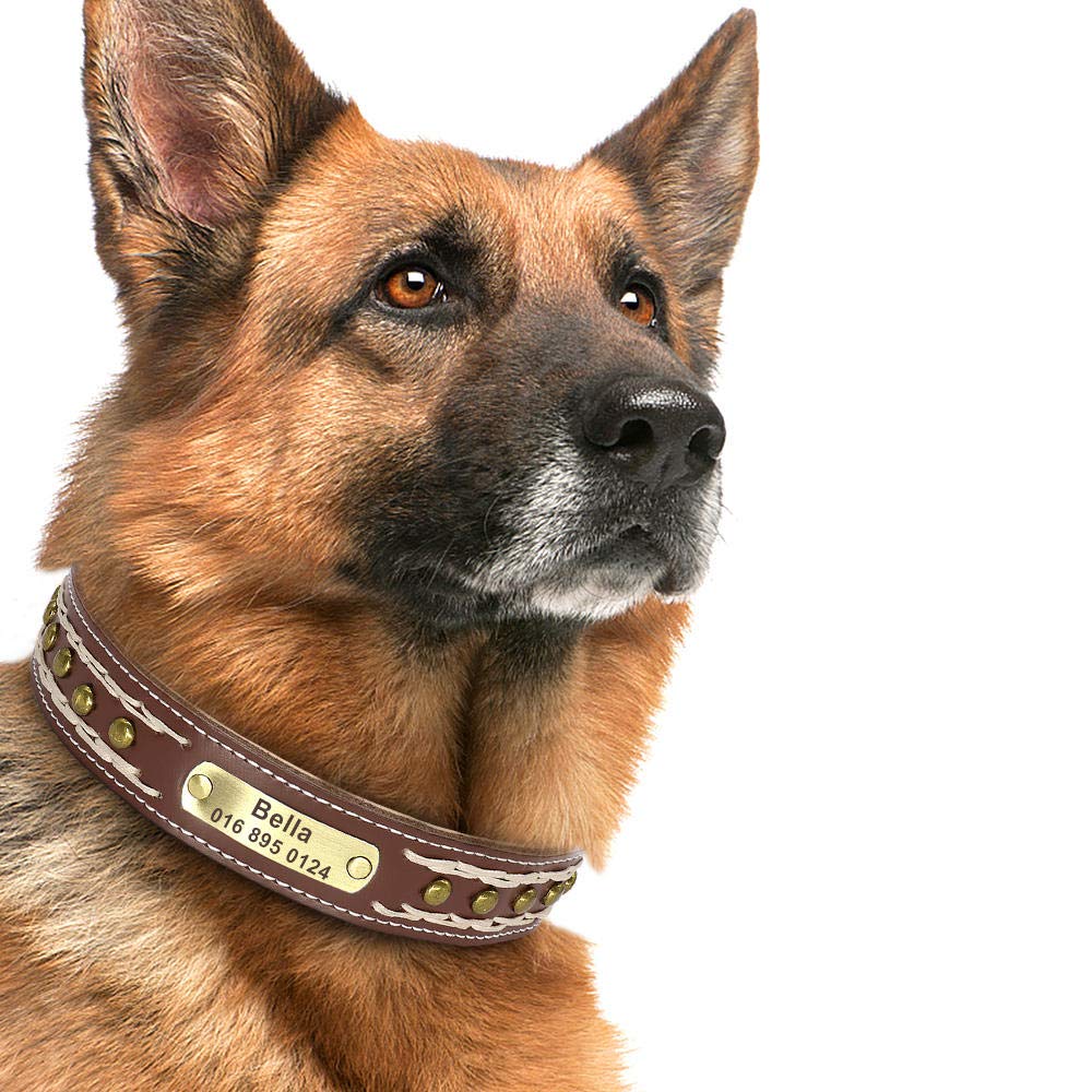 Collare Per Cani Personalizzato In Pelle Personalizzato Collari Per Cani Imbotti Morbidi Collare Per Targhetta Identificativa Per Animali Domestici Durevole Regolabile Per Cani Di Taglia Piccola