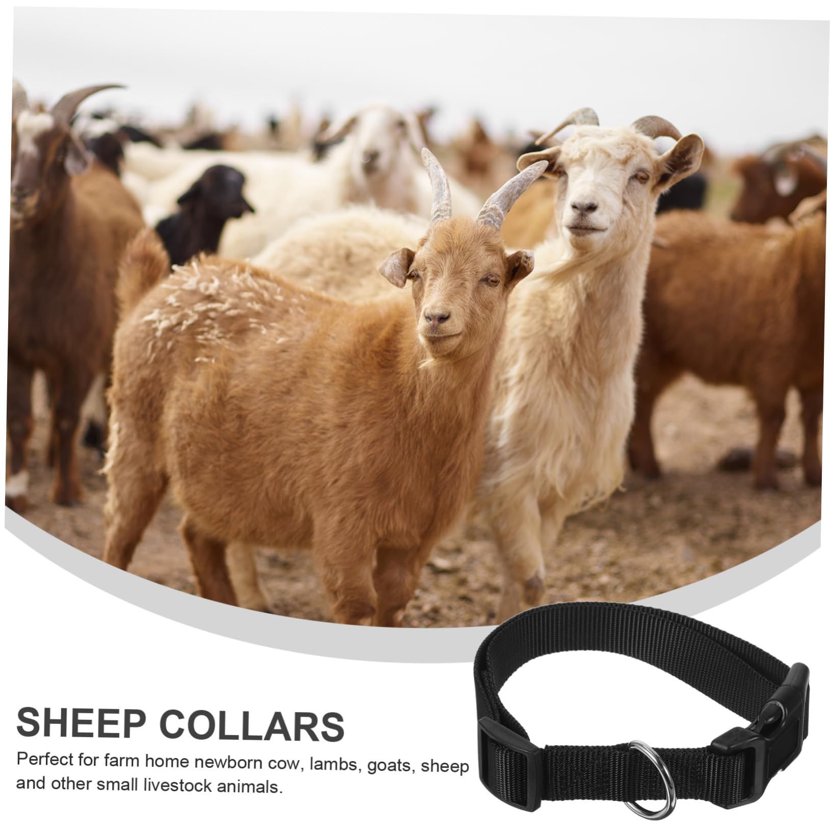 Lot De 10 Colliers Réglables Avec Cloche Pour Chèvre, Mouton, Petit Bétail - Nylon - Taille 35-52cm - 7