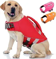Queenmore Colete salva-vidas para cães, colete salva-vidas para cães grandes, médios e pequenos, colete de natação refletivo ajustável, salva-vidas para cães de alta flutuabilidade, preservador de