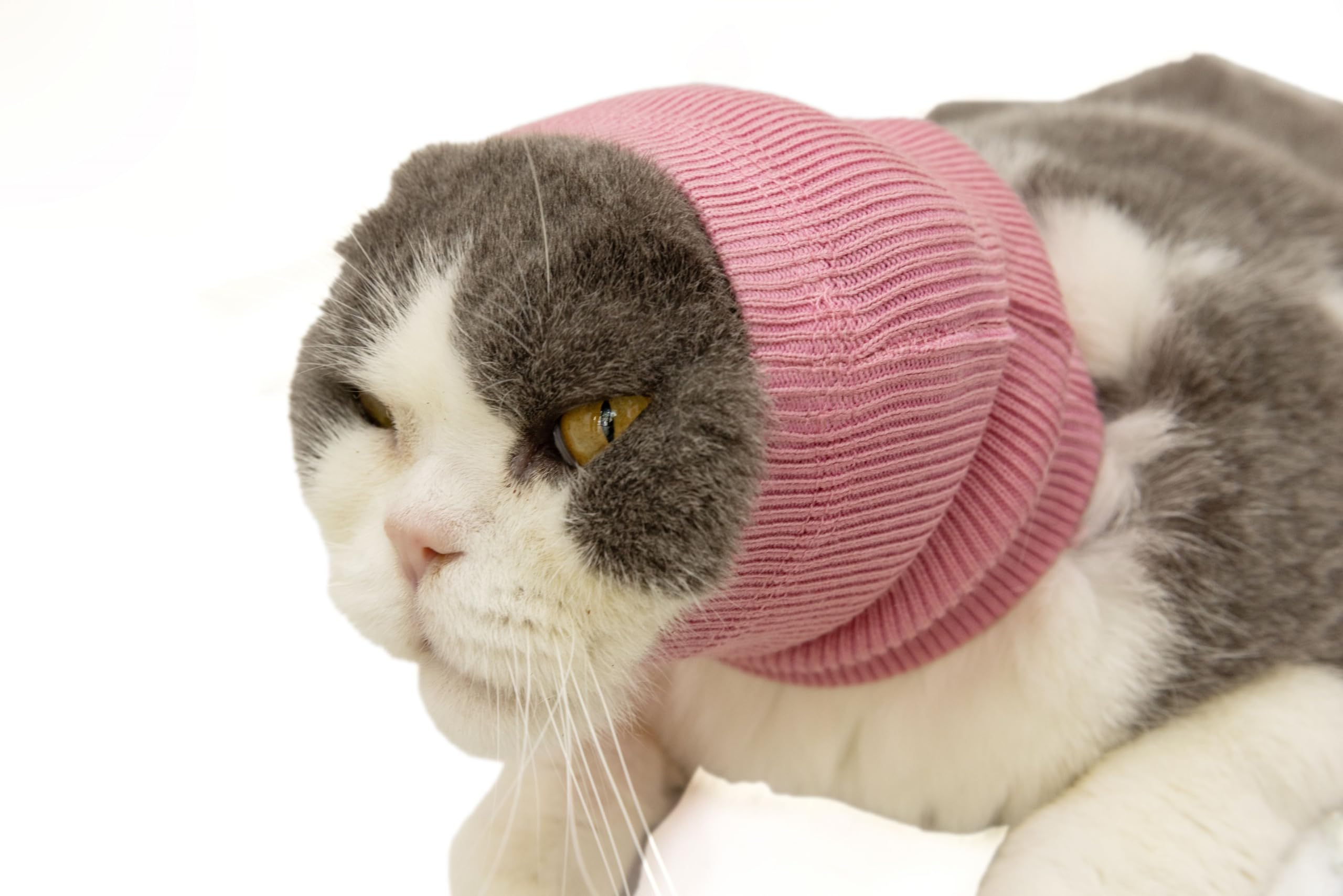 Cat Ear Cover Noise Cancelling Headphones Neck Hematoma Compression Comfort Ear Wrap for Cats Wine Red S