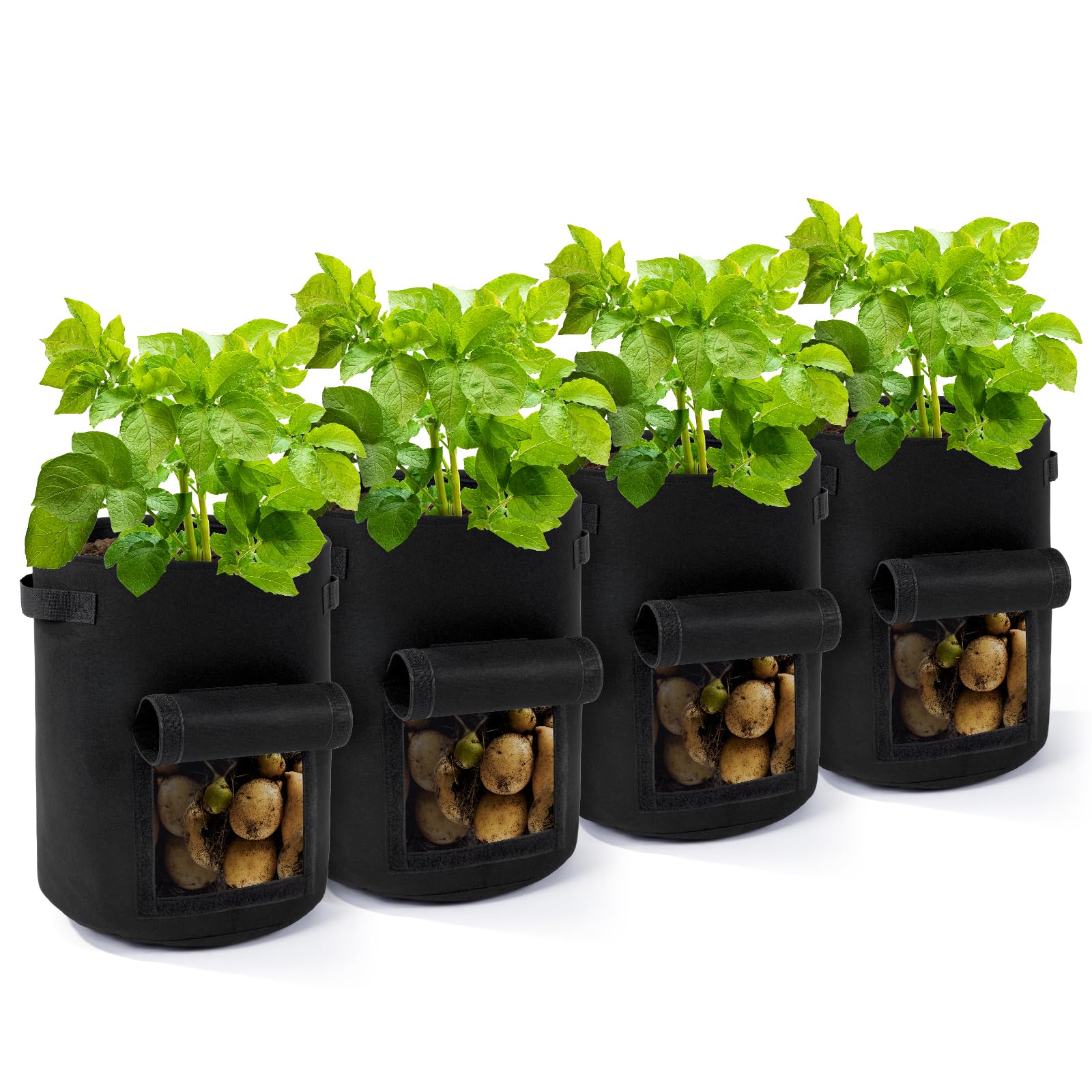 Backyard Expressions 10-Gallon Potato Grow Bags