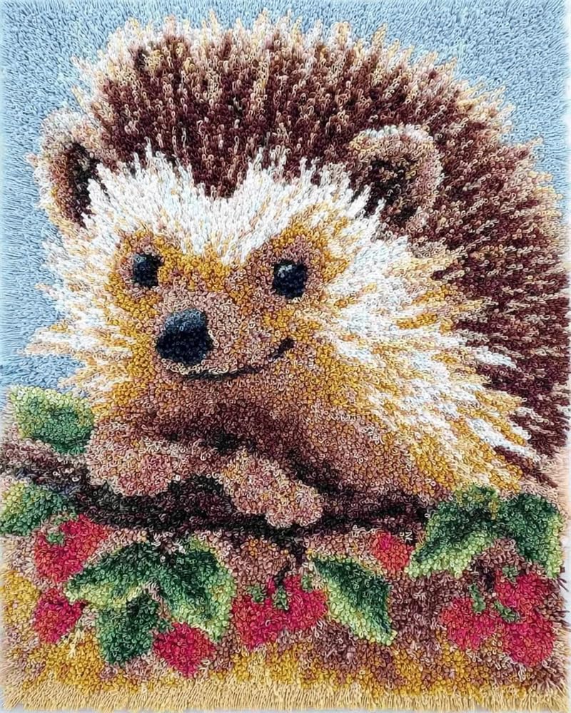 FWRTYCB Latch Hook Rug Kits, DIY Latch Hook Rug,Hedgehog Home Carpet Rug Making Canvas Kits,20X15Inch DIY Crochet Kits Embroidery Kits Needlework Crafts for Home Decor, Latch Hook Kits for Beginners