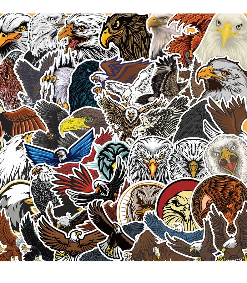 Amazon.co.jp: 鷹 タカ ハクトウワシ ハヤブサ 鳥 動物 動物園