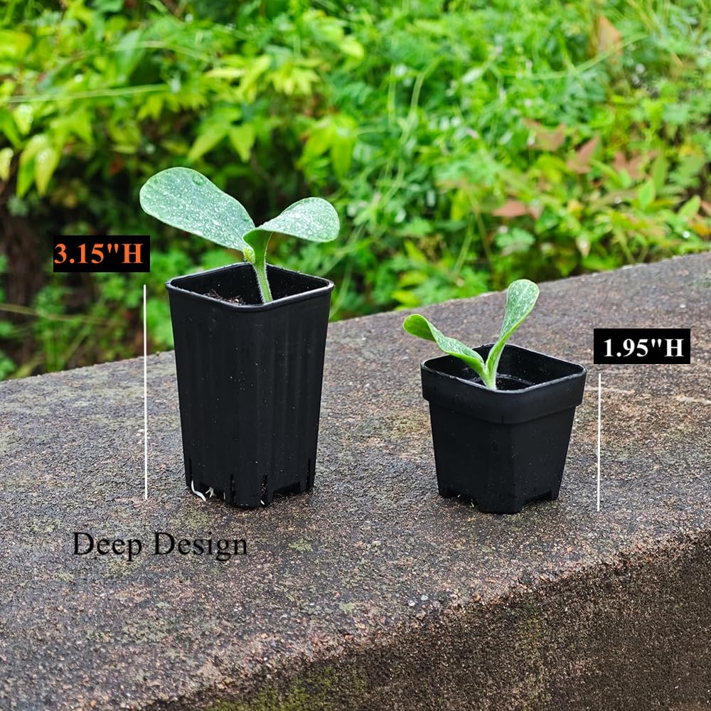 Lot de 180 petits pots de semis carrés en plastique noir de 5,9 cm avec trou de drainage pour germination, herbes et plantes grasses