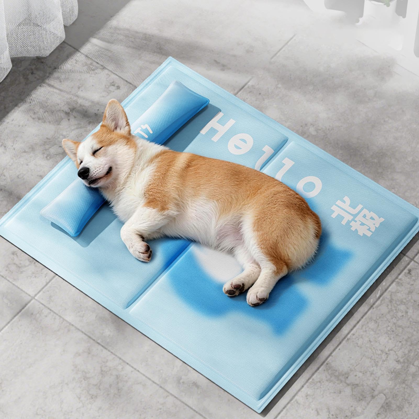 Tappetino refrigerante per cani, resistente ai , facile da pulire, per cuccioli, estate, caldo, esterno, interno, auto, campeggio, spiaggia,