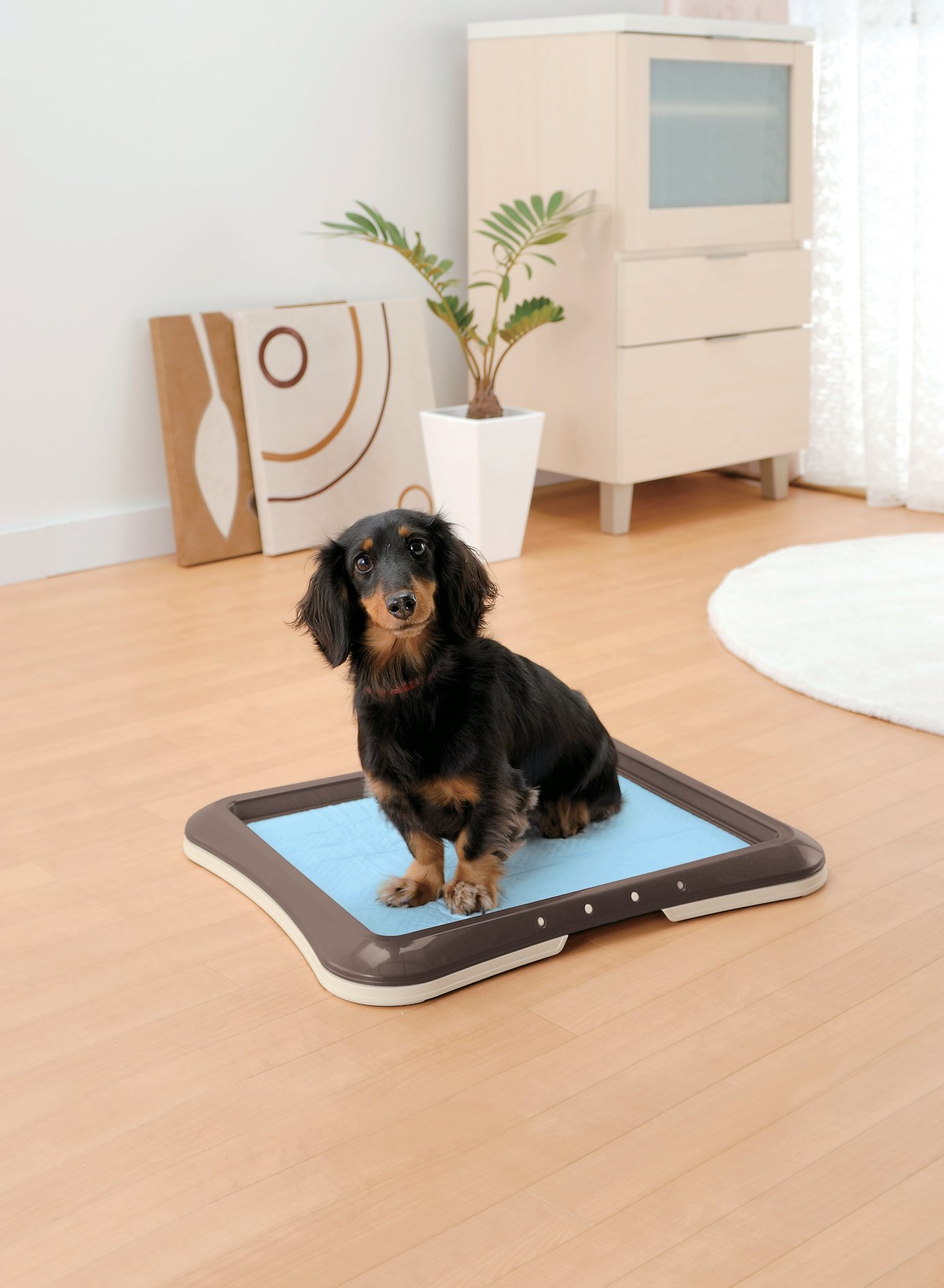 Richell 犬用ケージ ダークブラウントイレトレーセット 楽天市場】リッチェル 犬 トイレトレーニング お掃除簡単