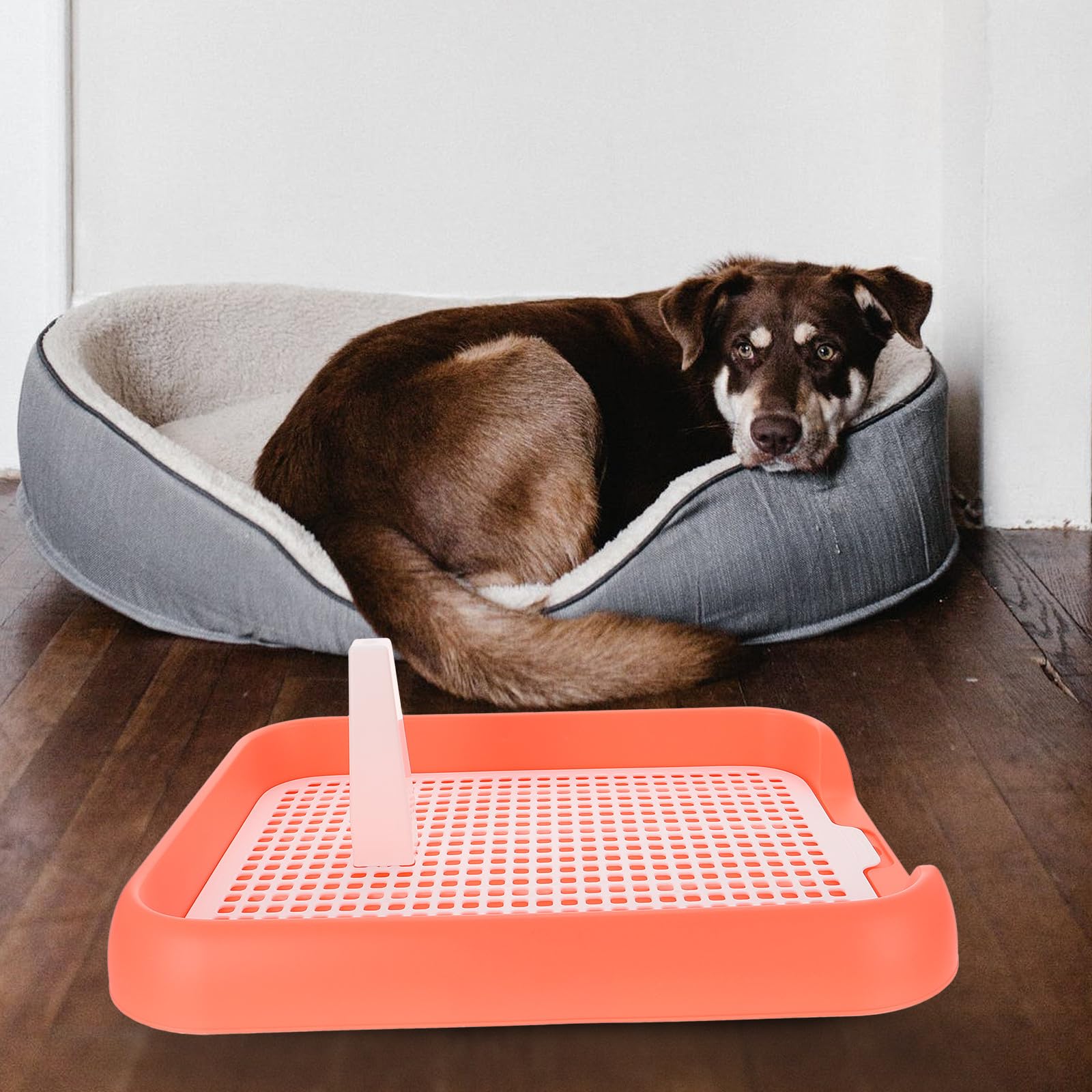 Toilette per Cani da Interno per Cuccioli Design Antiscivolo Bordi Rialzati e Maniglia per Spostamento Comodo Vasino per Addestramento Igienico Animali Domestici