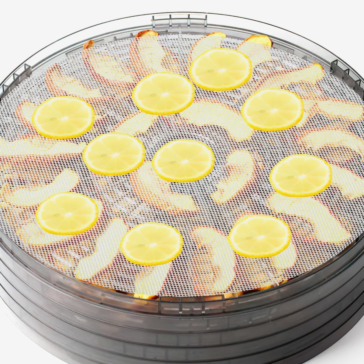 2pcs round Silicone Dehydrator Sheets Nonstick Fruit Dryer Mats