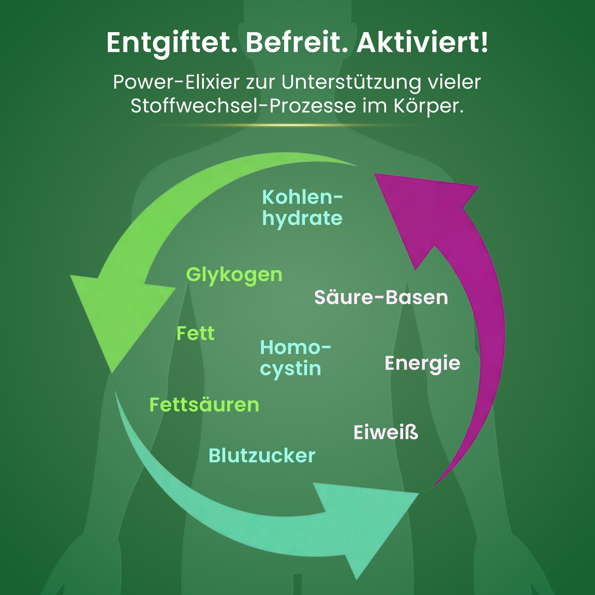 Alsiroyal Stoffwechsel Elixier - 520 ml - flüssiges Nahrungsergänzungsmittel mit Vitaminen Mineralstoffen und Pflanzenextrakten - fruchtiger Geschmack