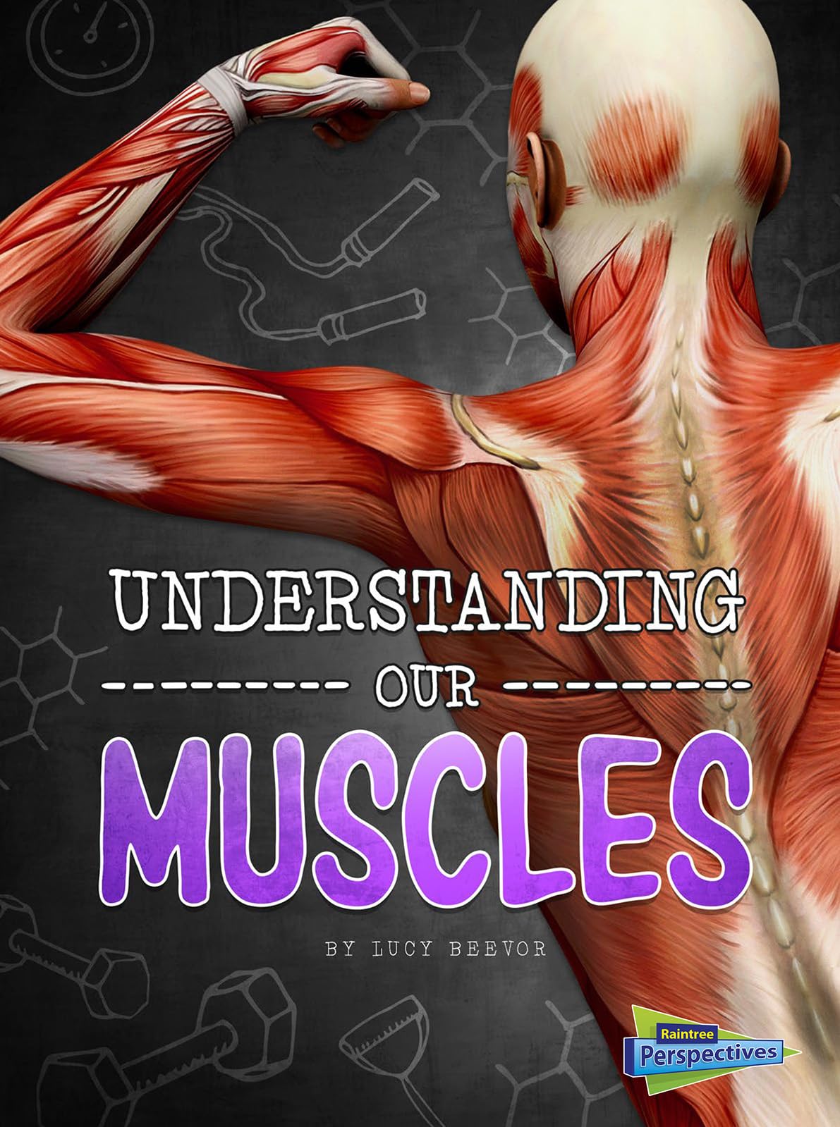 Buy Understanding Our Muscles (Brains, Body, Bones!) — BookShops.in