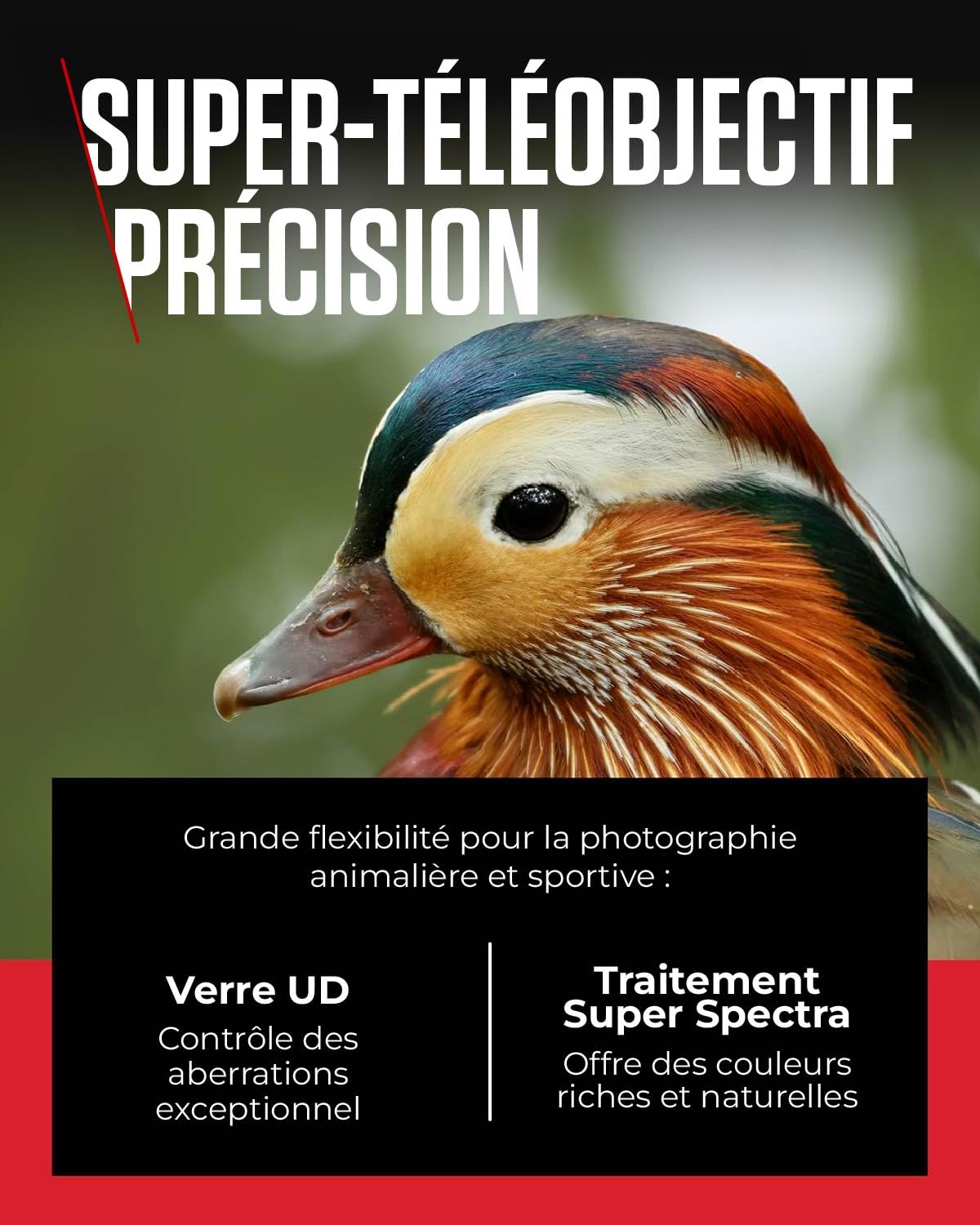 Objectif Canon RF 100-400mm F5.6-8 IS USM, téléobjectif zoom, stabilisateur d'image 5,5 vitesses, photo sportive/animalière, compatible Canon EOS R