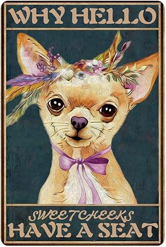 Kits de pintura de diamantes lindo arte vintage de Chihuahua de ojo grande kits de punto de cruz de diamante redondo 5D para principiantes para