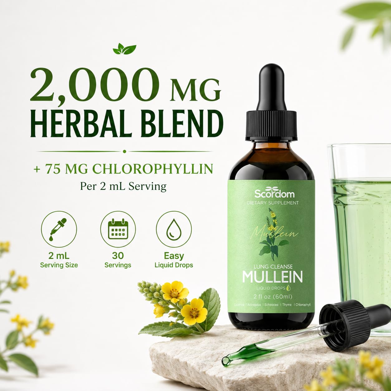 Mullein Drops for Lungs Cleanse & Detox, 6 in 1 - Mullein Leaf Tincture with Licorice, Astragalus, Echinacea, Thyme, Chlorophyll, Supports Respiratory Health, 2 fl oz | 60 ml - 1 Month Supply — Amazon image 4
