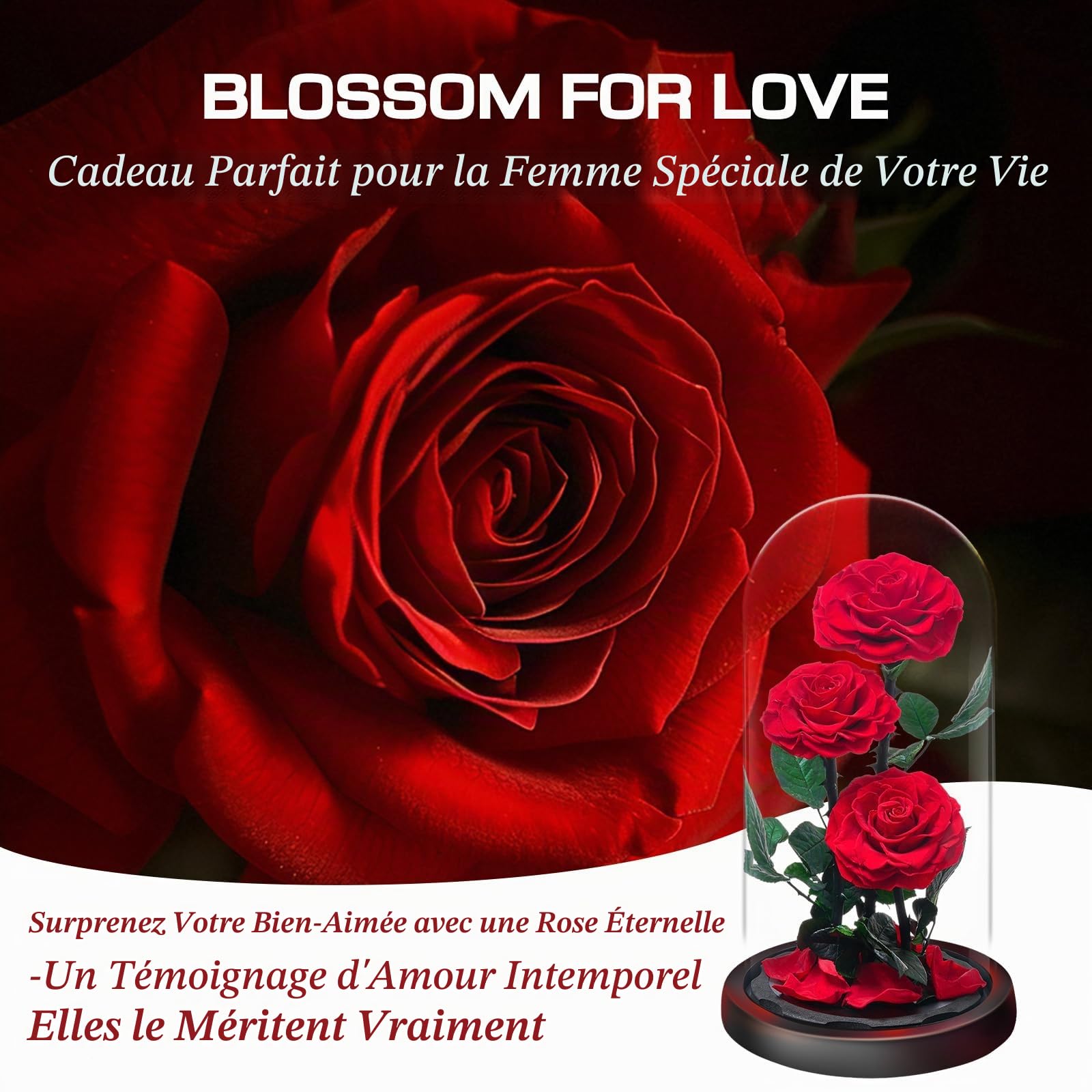 Rose Éternelle sous Cloche, Naturelle Fleur Eternelle Cadeau, Idée Boite Rose Eternel, Cadeau pour la Saint-Valentin, Fête des Mères, Noël, Anniversaire, Femme, Copine, Amie, Maman, Grand Mere