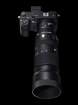 SIGMA  100-400mm F5-6.3 DG OS HSM ニコンF用 Amazon.com : Sigma 100-400mm f/5-6.3 DG OS HSM Contemporary Lens