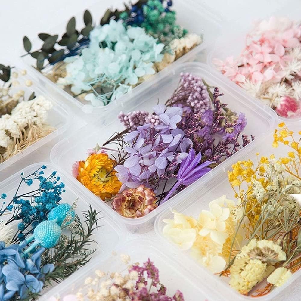 Nnewvante Dried Flower Dry Plants for Aromatherapy Candle, Premium Dried Pressed Leaves and Flowers Handmade DIY Dried Flowers for Candle Resin Jewelry Pendant Crafts Floral Decoration(1 Box)