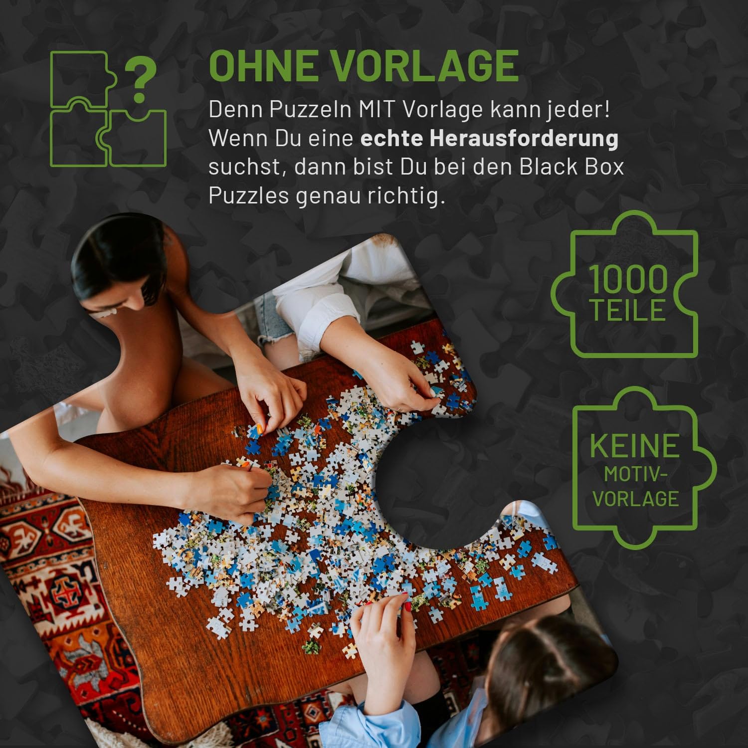 Black Box Puzzle 1000 Teile, Blackbox Puzzel mit Überraschungs-Motiv ohne Vorlage, Impossible Puzzle schwer für Erwachsene und Kinder ab 14 Jahren, Landschaft Edition 2021