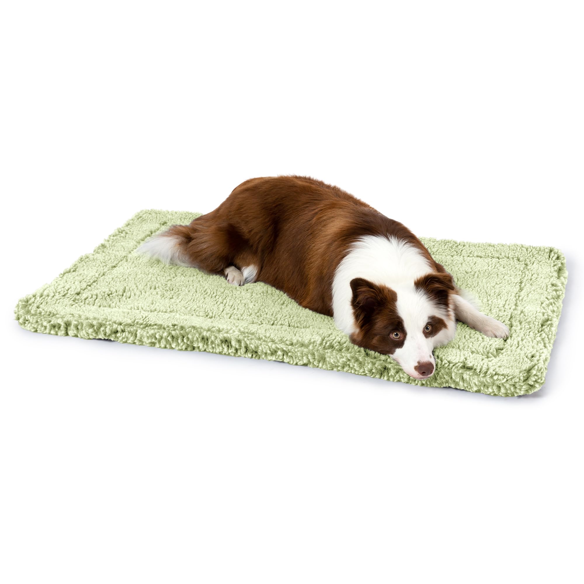 PELZIN Stoutwool Indestructible Dog Bed - Fluffy Chew Proof Dog Crate Pad - Tough Kennel Pad for Aggressive Chewers - Washable, Ideal for Large Breeds & Fits 36-Inch Crate - 35"x22", Gleam