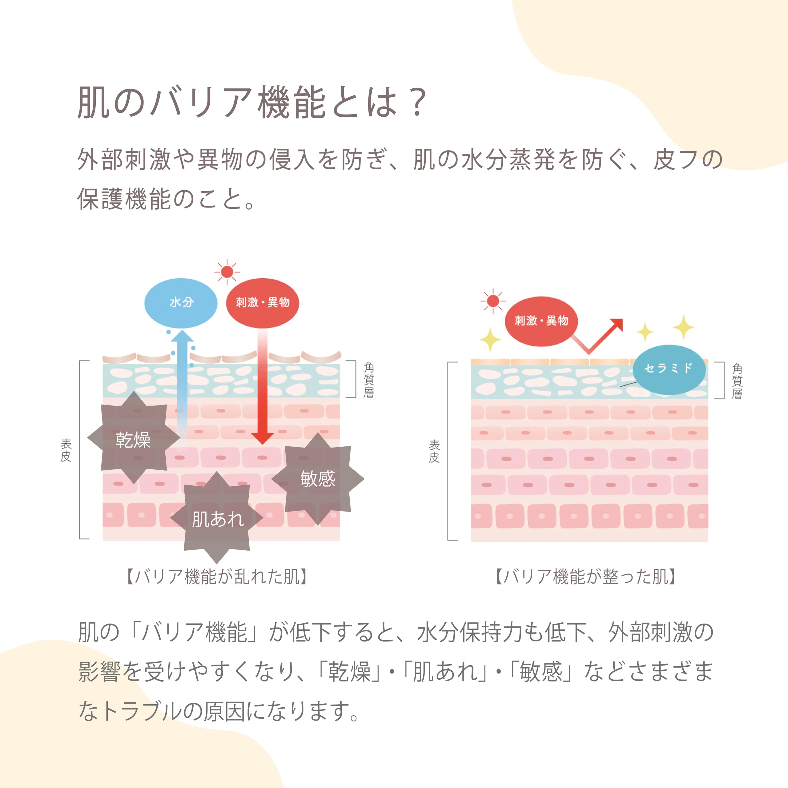 Amazon | ロゼット AK usual 薬用u ミルク 110ml｜天然セラミド配合