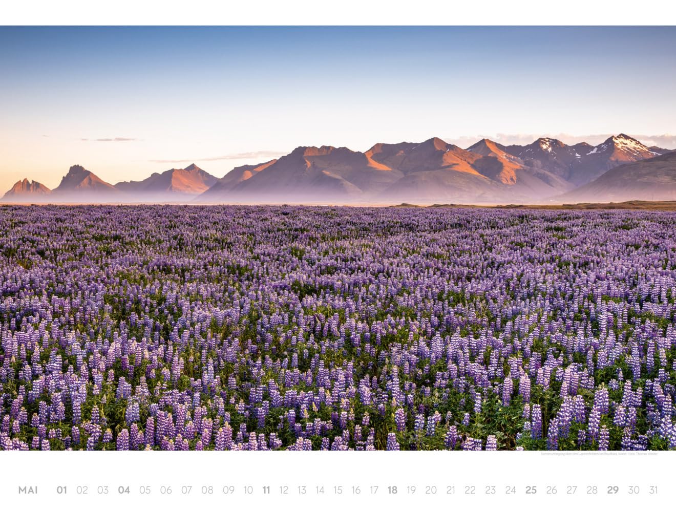 Freiraum Kalender 2025, Wandkalender / Panoramakalender im Querformat (66x50 cm) - Landschaftskalender / Naturkalender