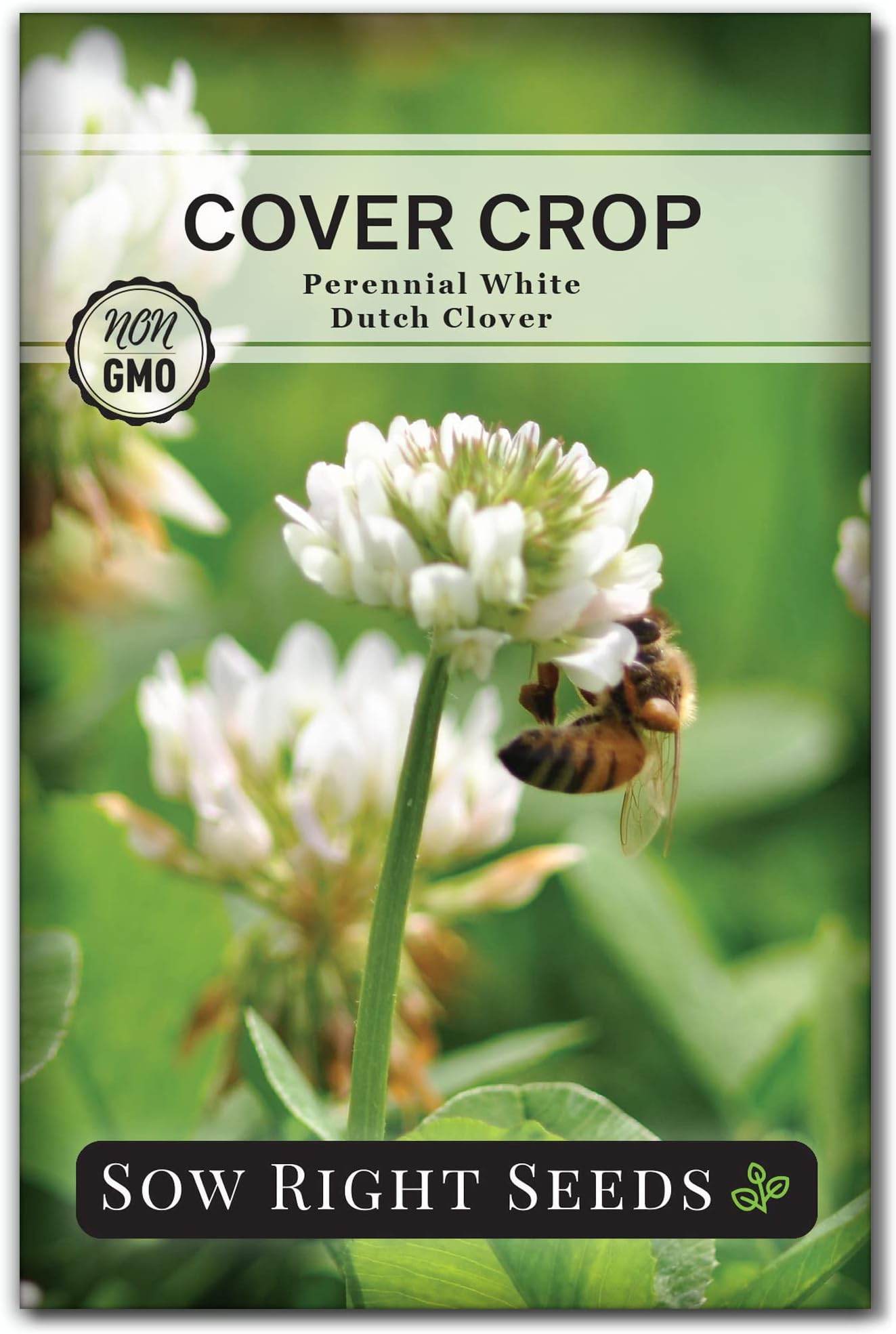White Dutch Clover Seed for Planting - Cover Crops to Plant in Your Home Garden - Nitrogen Fixer - Suppress Weeds - Attracts Pollinators - Non-GMO Heirloom Seeds - Gardening Gift (1)
