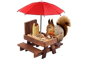 Adorable Picnic-Style Squirrel Feeder to Satisfy Your Squirrel's Dining Needs