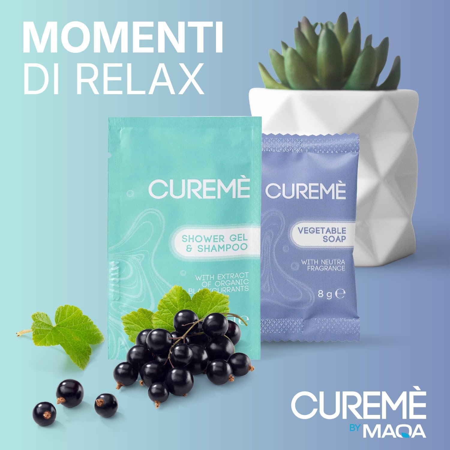 400 Kit Cortesia Bagno B&B e Hotel: 200 Shampoo Doccia Monodose in Bustina + 200 Saponette Monouso Neutre | Set Cortesia per Agriturismi, Case Vacanza, Affittacamere, Pronto all’Uso (400 Kit Cortesia)